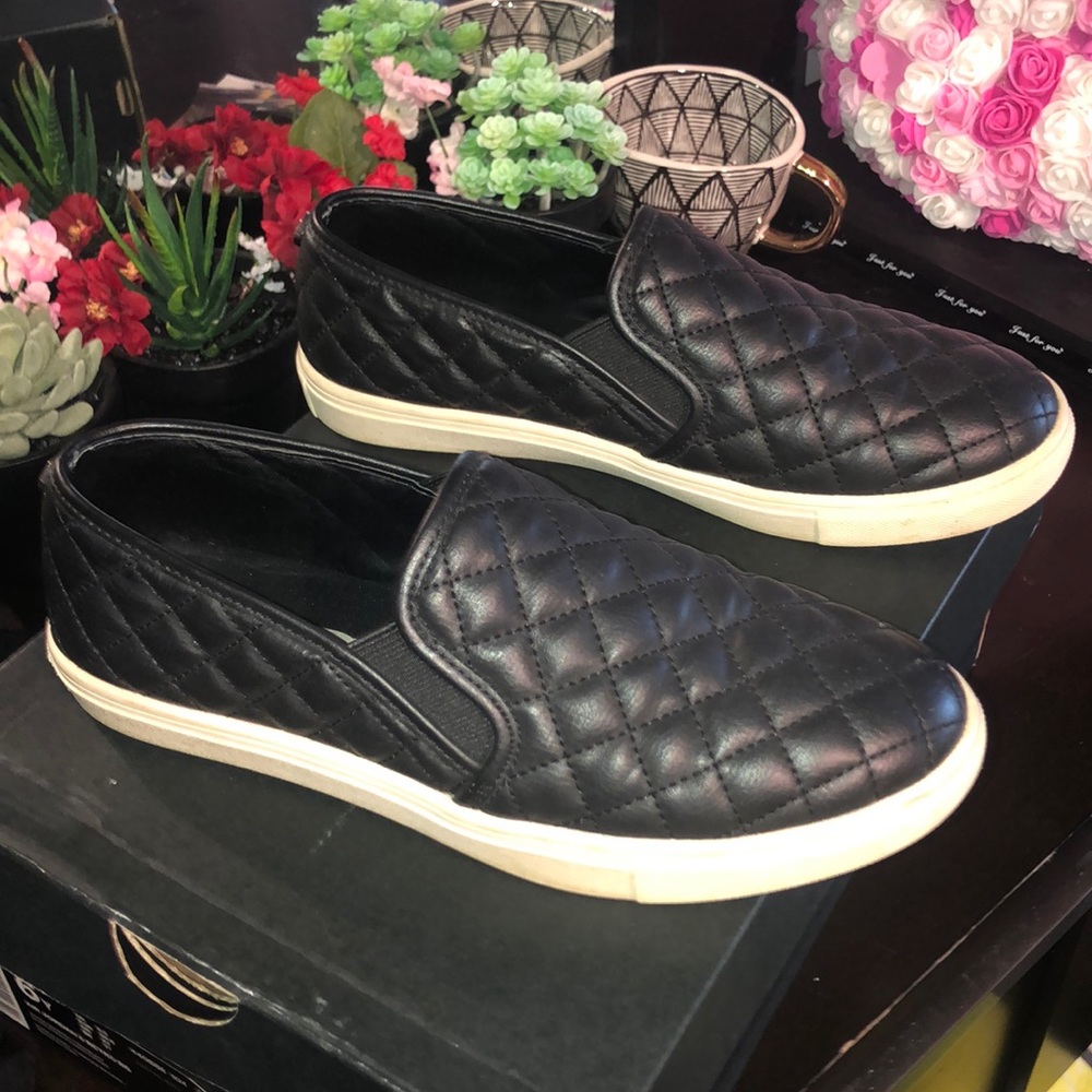 Steve Madden Ecentrcq